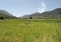 La ville de Sfakia en Crète. Cultures sur le plateau d'Askyfou. Cliquer pour agrandir l'image.