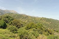 La ville de Vryssès en Crète. Le piémont nord des Montagnes Blanches vu depuis Emprosneros. Cliquer pour agrandir l'image.