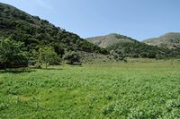La ville de Vryssès en Crète. Prairie sur le plateau de Krapi. Cliquer pour agrandir l'image.