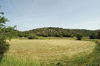 La ville de Vryssès en Crète. Cultures fourragères sur le plateau de Krapi près de Vrysses. Cliquer pour agrandir l'image.