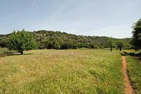 La ville de Vryssès en Crète. Cultures sur le plateau de Krapi près de Vrysses. Cliquer pour agrandir l'image.