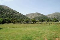 La ville de Vryssès en Crète. Pâturage sur le plateau de Krapi près de Vrysses. Cliquer pour agrandir l'image.
