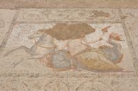 Atrium de l'ouest de la Casa romana à Kos. Nymphe chevauchant un monstre marin (auteur reini68). Cliquer pour agrandir l'image dans Flickr (nouvel onglet).