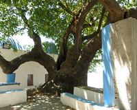 El monasterio San Juan Thymianos cerca de Kéfalos sobre la isla de Kos (autor Manos Mas). Haga clic para ampliar la imagen en Panoramio (nueva pestaña).