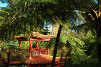 Le jardin tropical du Monte Palace à Madère. Jardin japonais. Cliquer pour agrandir l'image dans Adobe Stock (nouvel onglet).