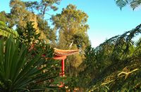 Le jardin tropical du Monte Palace à Madère. Jardin japonais. Cliquer pour agrandir l'image dans Adobe Stock (nouvel onglet).