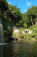 Le jardin tropical du Monte Palace à Madère. Bassin central. Cliquer pour agrandir l'image dans Adobe Stock (nouvel onglet).