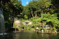 Le jardin tropical du Monte Palace à Madère. Bassin central. Cliquer pour agrandir l'image dans Adobe Stock (nouvel onglet).