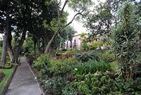 Le quartier Santa Catalina de Funchal à Madère. Jardins de la quinta Vigia. Cliquer pour agrandir l'image dans Adobe Stock (nouvel onglet).