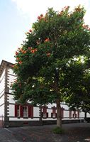 Le quartier Santa Catalina de Funchal à Madère. Hospicio Maria Amélia. Cliquer pour agrandir l'image dans Adobe Stock (nouvel onglet).