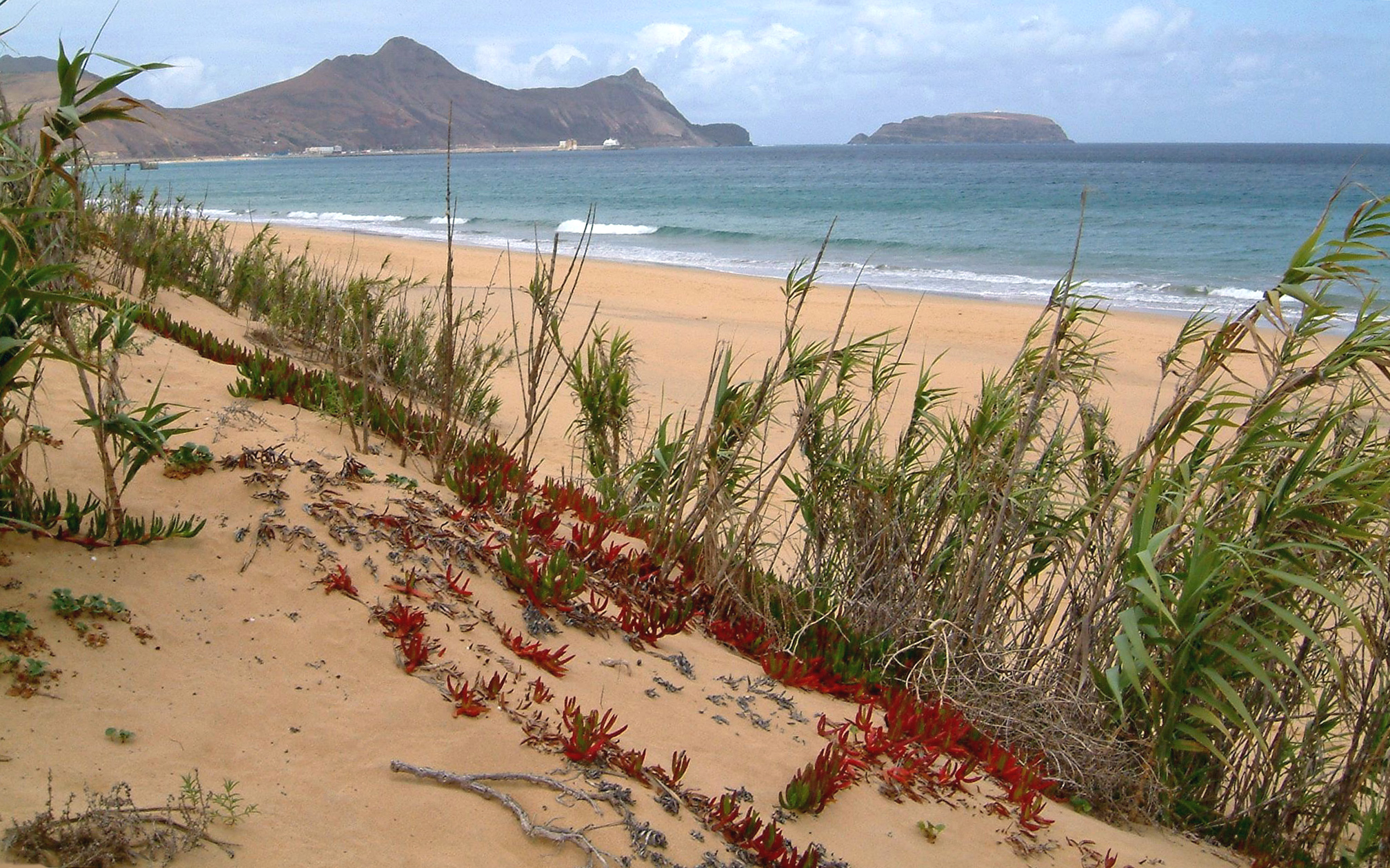 Résultat de recherche d'images pour "ILE DE PORT SANTO"