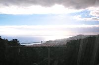 Le Jardin botanique de Madère. Funchal vu du téléphérique. Cliquer pour agrandir l'image.