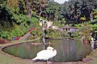 Le jardin tropical du Monte Palace à Madère. Bassin. Cliquer pour agrandir l'image.