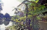 Le jardin tropical du Monte Palace à Madère. Bassin. Cliquer pour agrandir l'image.