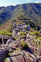 Le Pico Ruivo à Madère. Belvédère sur la route de Santana. Cliquer pour agrandir l'image.