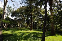 La Quinta das Cruzes à Funchal à Madère. Jardin. Cliquer pour agrandir l'image.