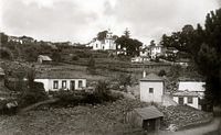 Le village de Camacha à Madère. Photo ancienne. Cliquer pour agrandir l'image.