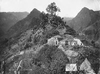 Le village de Faial à Madère. Hameau de Cruzinhas vers 1900. Cliquer pour agrandir l'image.