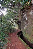 Le village de Rabaçal à Madère. Levada. Cliquer pour agrandir l'image.