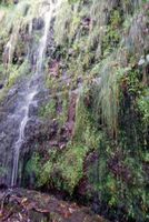 Le village de Rabaçal à Madère. Levada. Cliquer pour agrandir l'image.