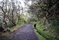 Le village de Rabaçal à Madère. Levada do risco. Cliquer pour agrandir l'image.