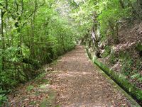 Le village de Ribeiro Frio à Madère. Levada do furado. Cliquer pour agrandir l'image.