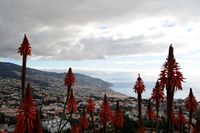 Le village de São Martinho à Madère. Funchal vu depuis Pico dos Barcelos. Cliquer pour agrandir l'image.