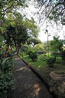 Le quartier Santa Catalina de Funchal à Madère. Jardins de la quinta Vigia. Cliquer pour agrandir l'image.