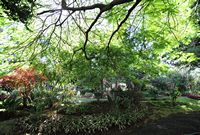 Le quartier Santa Catalina de Funchal à Madère. Jardins Hospicio Maria Amélia. Cliquer pour agrandir l'image.