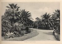 Le quartier de la cathédrale de Funchal à Madère. Le jardin municipal vers 1880, carte postale. Cliquer pour agrandir l'image.