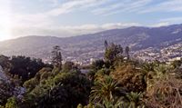 La ville de Funchal à Madère. Vue depuis le jardin botanique. Cliquer pour agrandir l'image.