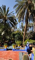Le jardin Majorelle à Marrakech au Maroc. Jardin de palmiers. Cliquer pour agrandir l'image dans Adobe Stock (nouvel onglet).