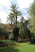 L'hôtel Tikida Garden à Marrakech au Maroc. Jardins. Cliquer pour agrandir l'image.