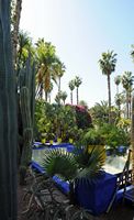 Le jardin Majorelle à Marrakech au Maroc. Jardin de palmiers. Cliquer pour agrandir l'image.