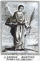 Engraving of Saint-Tryphon. Click to enlarge the image.
