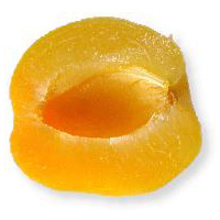 Abricotier commun. Fruit.