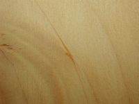 Sapin pectiné. Sapin pectiné coupe longitudinale du bois. Cliquer pour agrandir l'image.